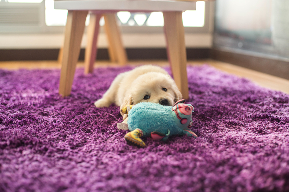 How Quick-clean Rugs Can Save Your Home from Pet Chaos